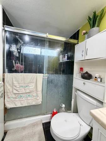 1BR/1BA Apartment · San Jose photo 3
