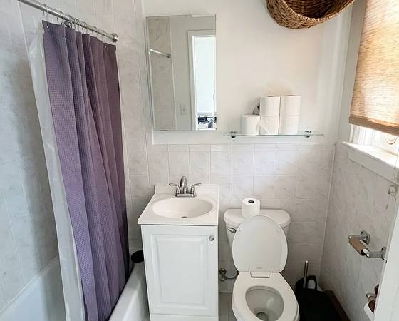 1BR/1BA Apartment · Forest Hills photo 5