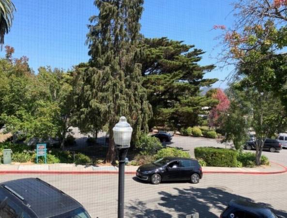 1BR/1BA Apartment · Corte Madera photo 5