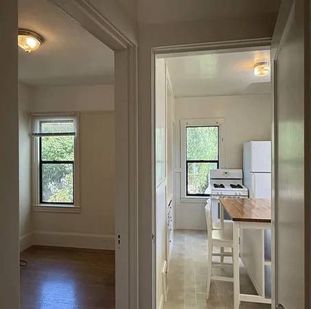 1BR/1BA Apartment · San Jose photo 4