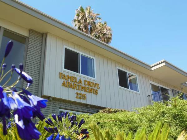 Pamela Drive Apartments photo 3