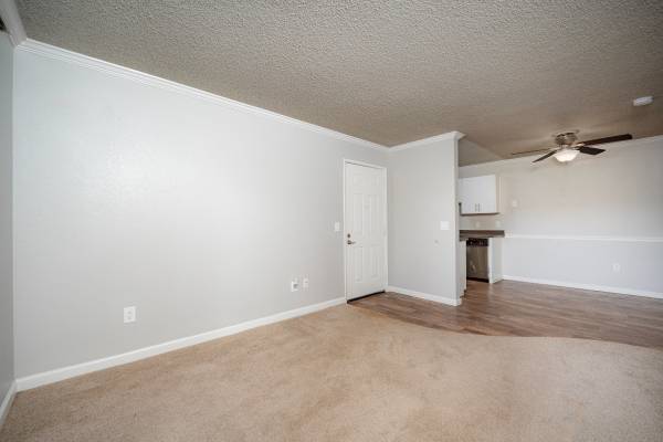 Plum Tree Apartment Homes photo 5