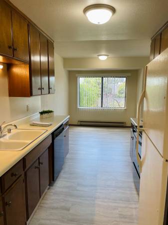 2BR/1BA Apartment on Capitola Ave · Capitola photo 4