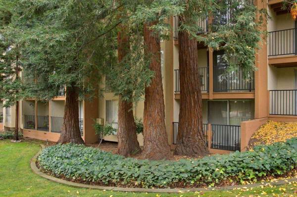 Apartments on Trinity Ave · Walnut Creek photo 5