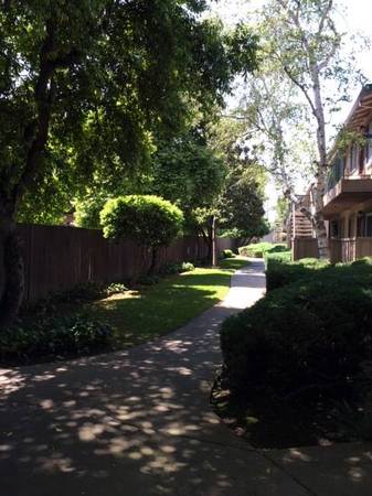 0BR/1BA Apartment on Union Ave · Campbell photo 4