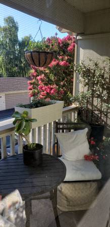3BR/2BA Apartment · Redwood City photo 3