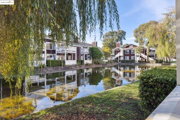 1BR/1BA Condo on Bayside Ct · Richmond photo 4