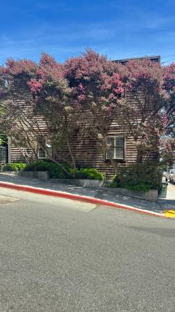 Apartments on Main-202 3rd Street · Sausalito photo 3