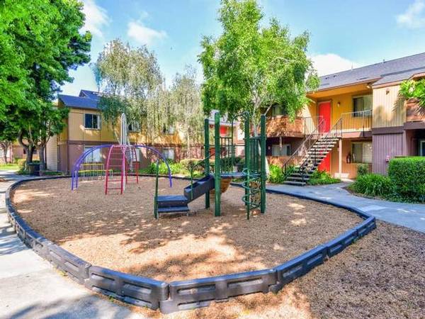 Summerwood photo 3