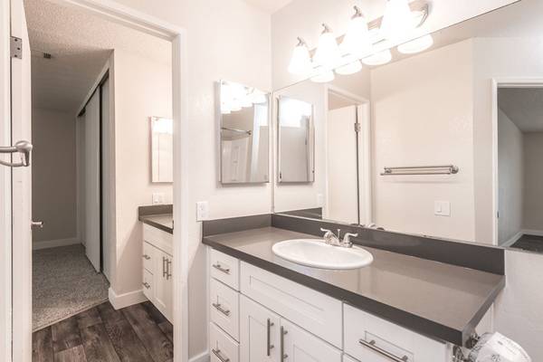 Charming Updated 3-bedroom, 2 Bathroom Home With Expansive Outdoor Living In Rohnert Park photo 3
