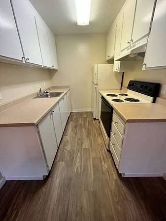 1BR/1BA Apartment on Dent Avenue Near Branham Ln · San Jose photo 5