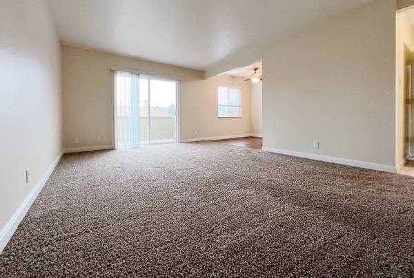 Laurel Heights photo 5