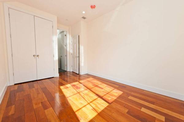 1BR/1BA Apartment · Brooklyn photo 3