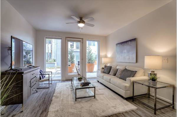Scotia Apartments photo 2
