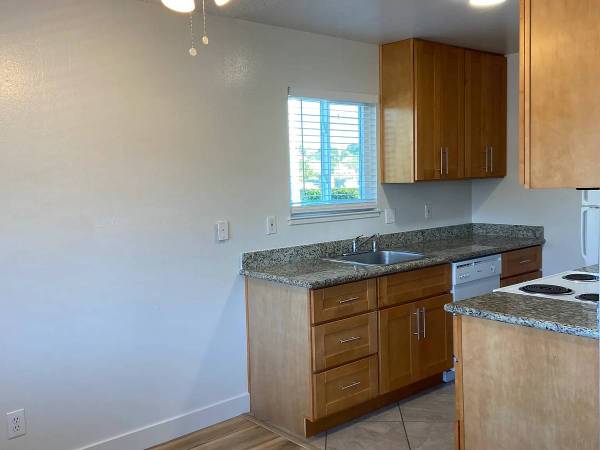 1BR/1BA Apartment · Elmhurst photo 5
