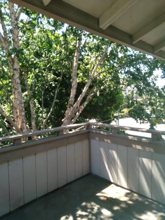 1BR/1BA Condo · Hayward photo 3