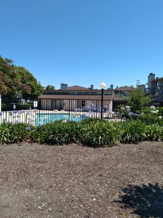 1BR/1BA Condo · Hayward photo 2