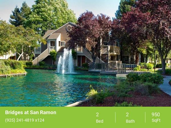 Apartments on Springfield Drive · San Ramon photo 5