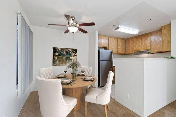 Lakeshore Apartments photo 4
