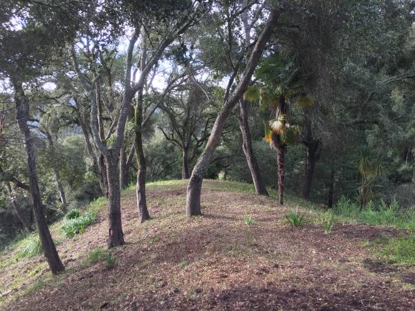 1BR/1BA Apartment · Scotts Valley photo 5