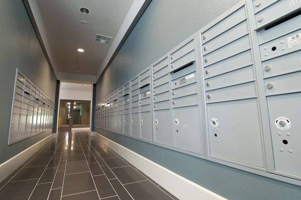 Cadence Apartments photo 3