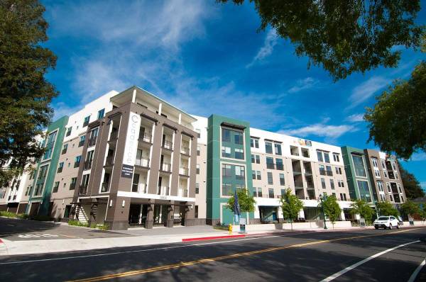 Cadence Apartments photo 2