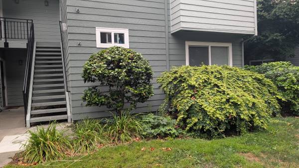 2BR/1BA Apartment · Emeryville photo 4