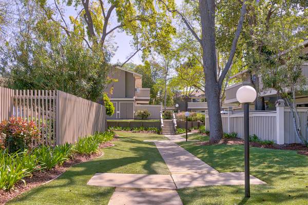 Del Prado Apartment Homes photo 2