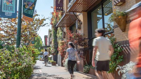 Apartments on Pringle Avenue · Walnut Creek photo 3