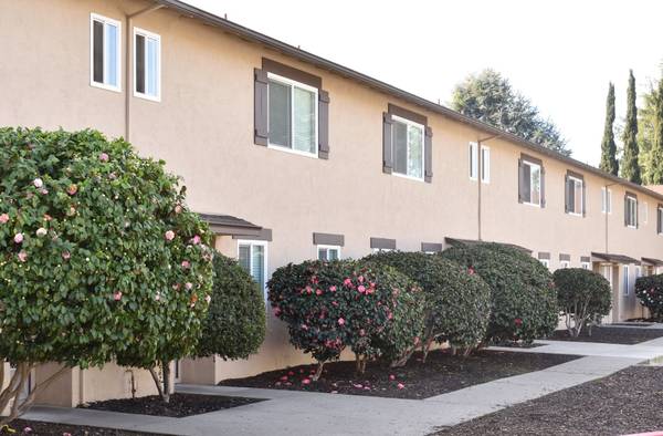 2BR/2BA Apartment · Hayward photo 3