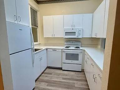 1BR/1BA Apartment · San Jose photo 4