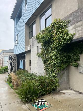 3BR/3BA Apartment on 65th Street · Oakland photo 3