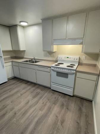 Apartments on Bodega Ave · Sebastopol photo 2