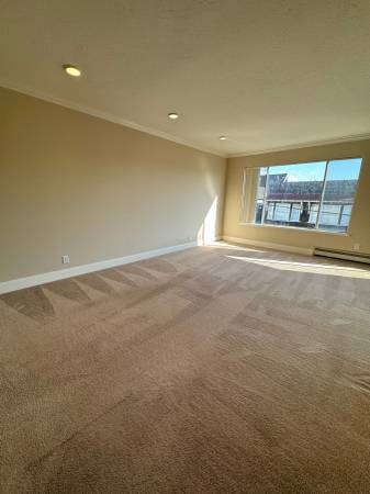340 Arguello Boulevard (990r) photo 4