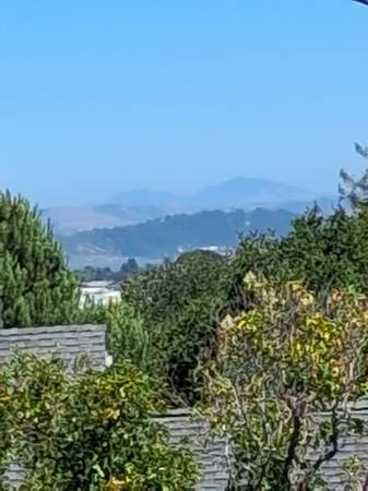 1BR/1BA Loft · Greenbrae photo 3