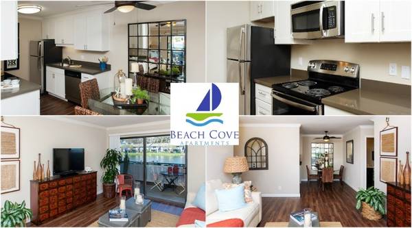 Beach Cove photo 3