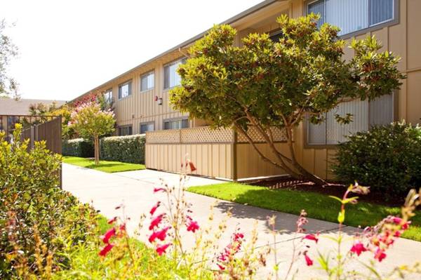 Apartments on California Street · Mountain View photo 4