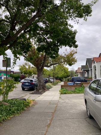 2BR/1BA Apartment · Berkeley photo 3