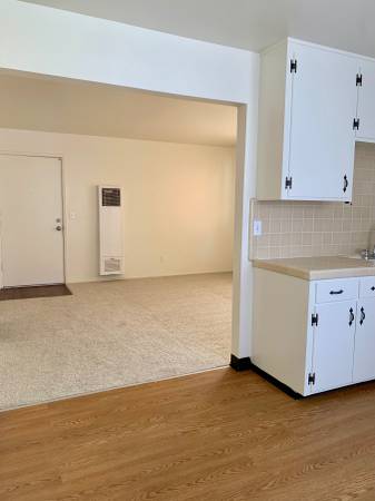 1BR/1BA Apartment · San Jose photo 4