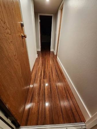 Euclid Apartments photo 3