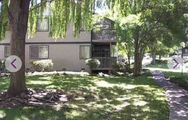 Apartments on Chadwick Lane · Pittsburg photo 4