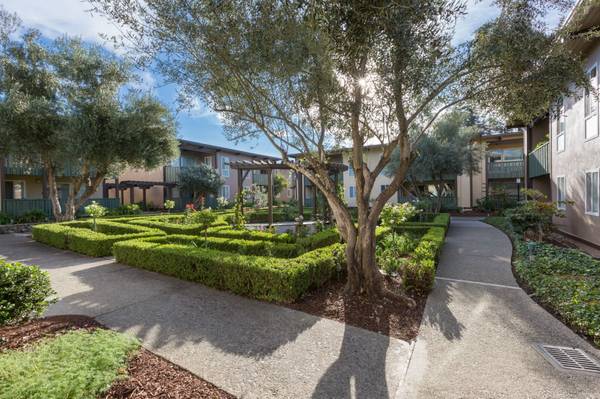 Apartments on Whitman Street · Hayward photo 2