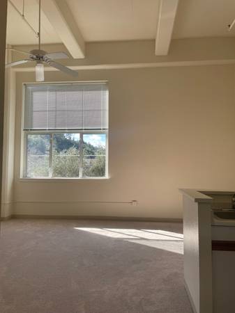 Lofts on H Street · Kentfield photo 4