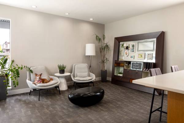 Alderwood photo 2