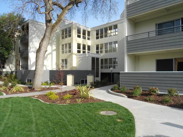 Bright One-bedroom W/ In-unit Laundry &amp; Ac photo 3