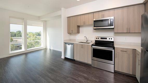 1BR/1BA Apartment · San Jose photo 4