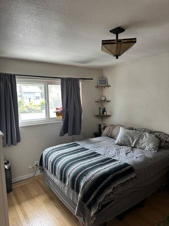 2BR/1BA Apartment · Mill Valley photo 2
