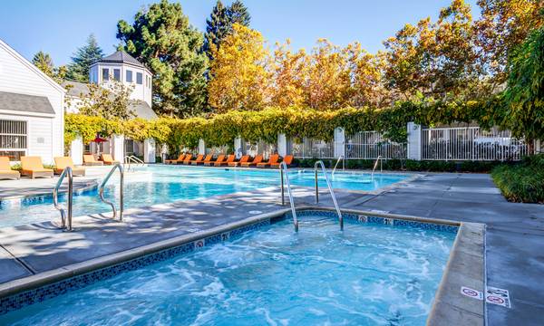 Apartments on Church St · Mountain View photo 4