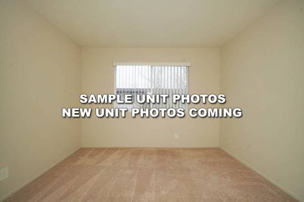 Curtner Apartments photo 5