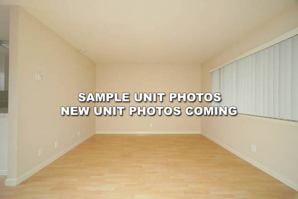 Curtner Apartments photo 2